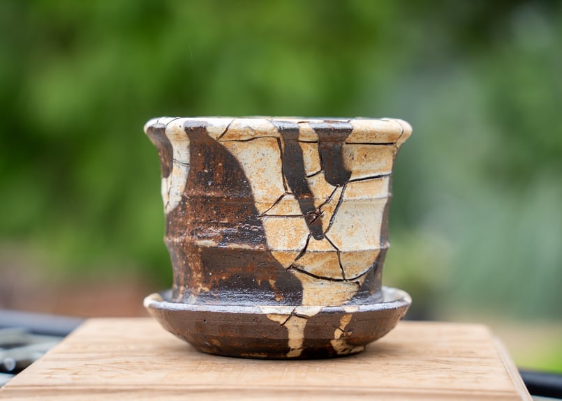 き*お様 陶器鉢　作家鉢セット4 アガベ　塊根　激安　売り切り き*お様 陶器鉢 作家鉢セット4 アガベ 塊根 激安 売り切り き*