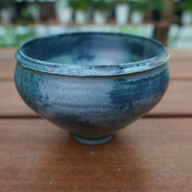 神田知広氏の鉢が再入荷しました。 | mana's farm:塊根植物・アガベ