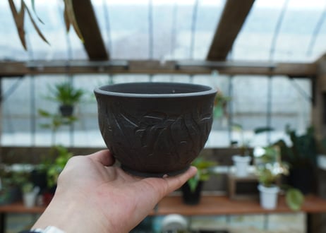保田修作  pot No.55
