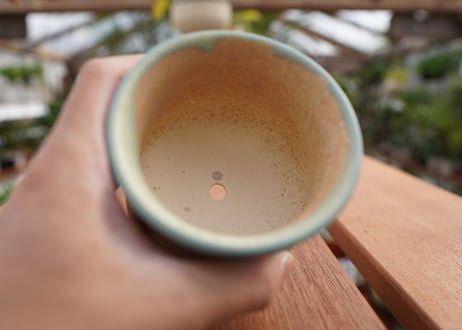 關まどか pot NO.5-6　Ｇ