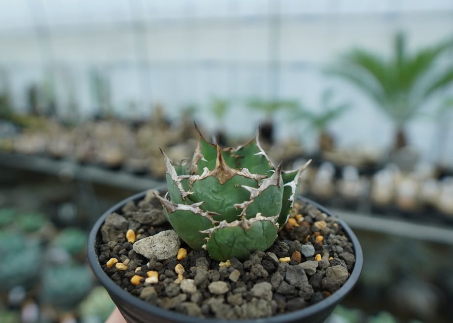 63c9eb1752de1564d1f2f8e2