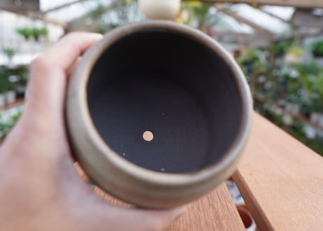 關まどか pot NO.8-1 F