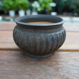 保田修作氏の鉢が再入荷しました。 | mana's farm:塊根植物・アガベ