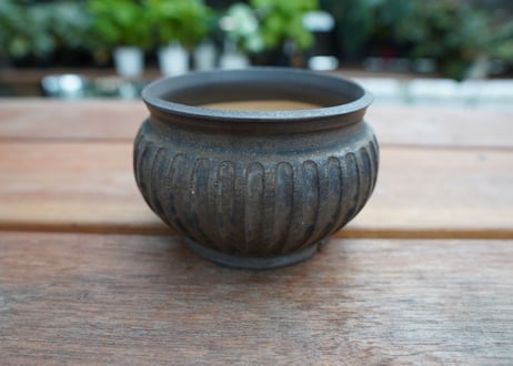保田修作  pot No.16