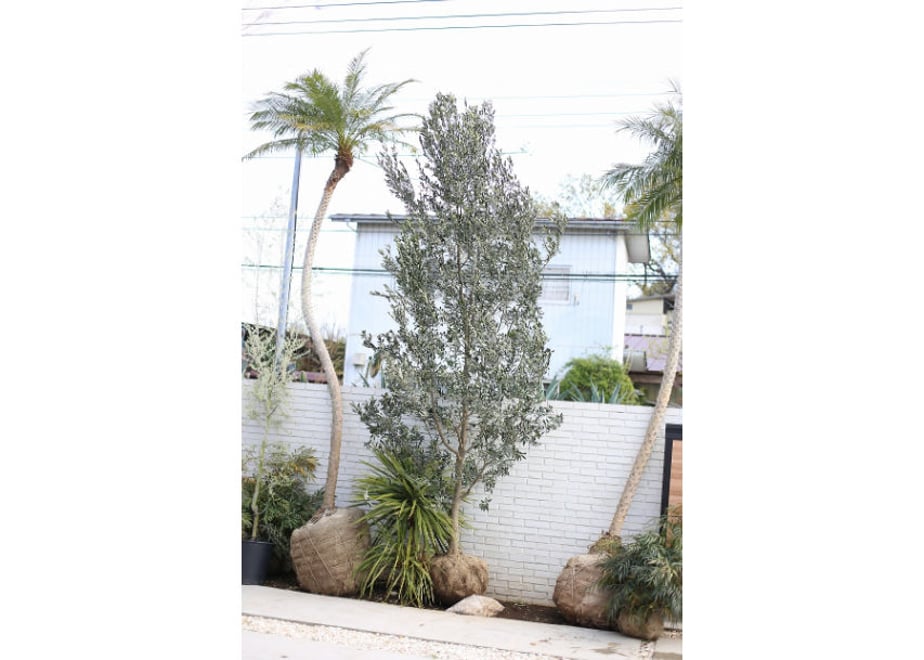 5e8935afe20b047e7c8d07a5