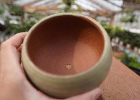 關まどか pot NO.26-1　Ｇ