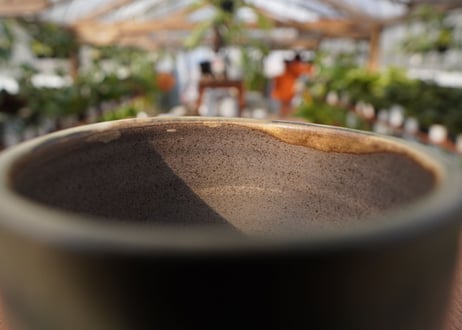 關まどか pot NO.21-1 F
