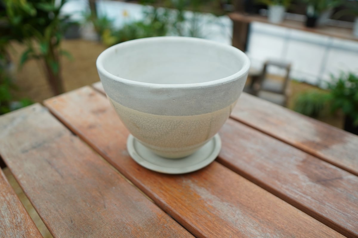 植木鉢 鉢皿付き No.1 | mana's farm:塊根植物・アガベ・ドライ