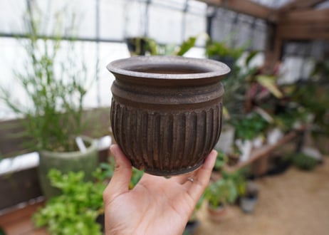 保田修作  pot No.21