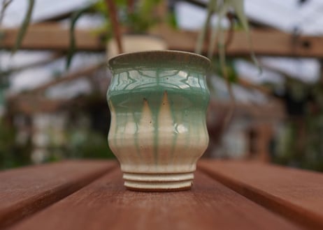 持木祐一pot NO.19