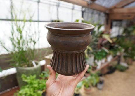 保田修作  pot No.29