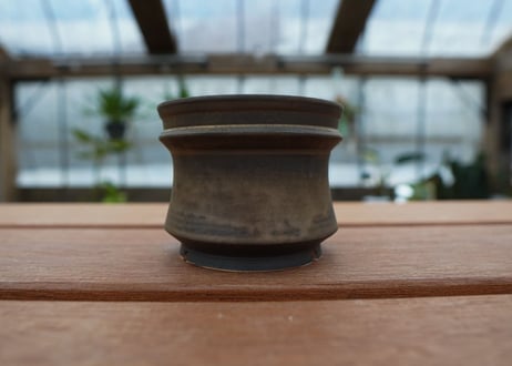 保田修作  pot No.22