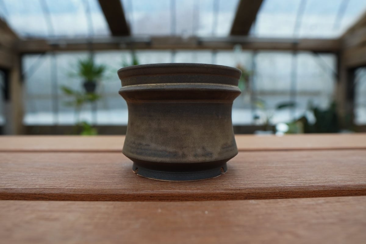 保田修作 pot No.22 | mana's farm:塊根植物・アガベ・ドライガーデン植