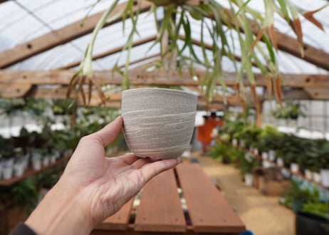 關まどか pot NO.22-2 F
