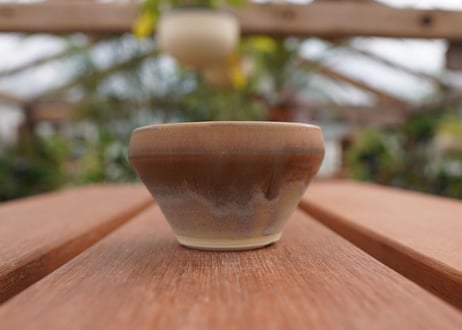 關まどか pot NO.4-1
