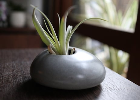 植木鉢　 ペブコ11