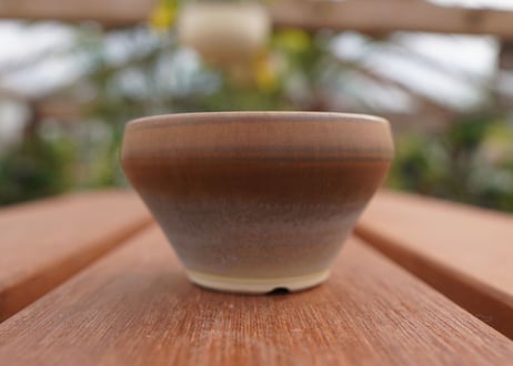關まどか pot NO.4-1