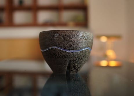 沼野秀章 pot No.31