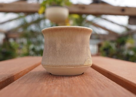 關まどか pot NO.5-2　Ｇ