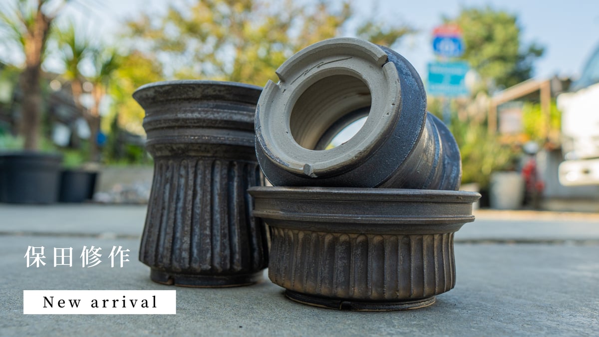 保田修作氏の鉢が再入荷しました。 | mana's farm:塊根植物・アガベ