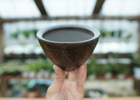 沼野秀章 pot No.6