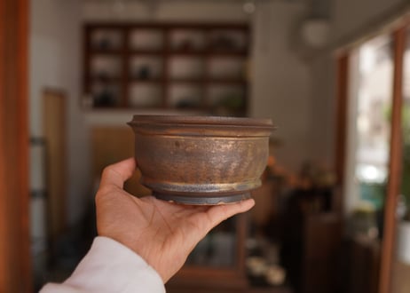 保田修作  pot No.9