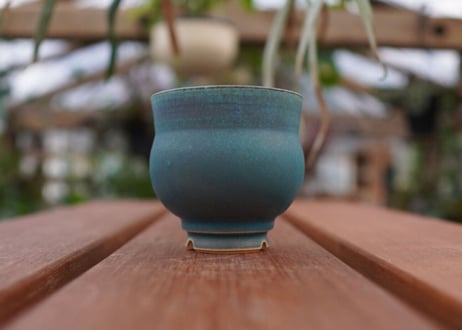 持木祐一pot NO.2
