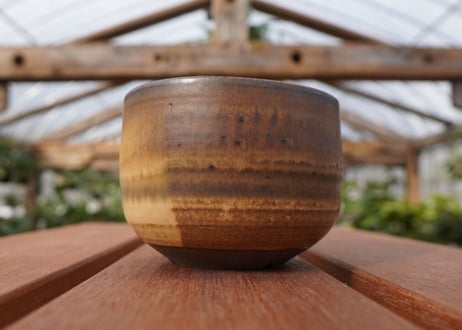 關まどか pot NO.21-4　F