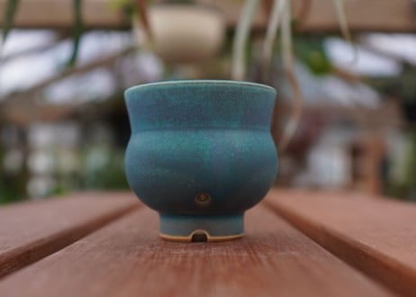 持木祐一pot NO.1
