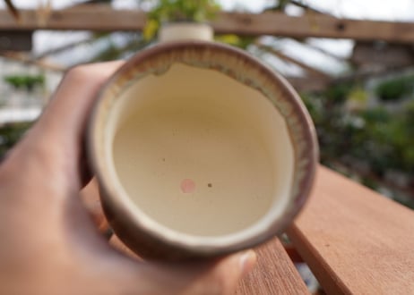 關まどか pot NO.7-3　F
