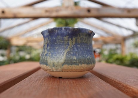 關まどか pot NO.12-2 F
