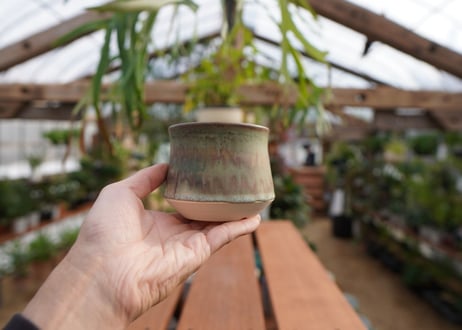 關まどか pot NO.7-3　F