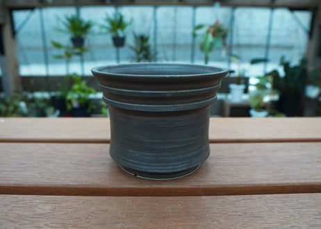 保田修作  pot No.61