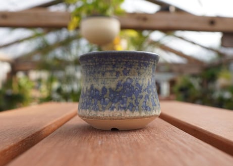 關まどか pot NO.7-6　Ｇ