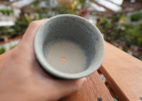 關まどか pot NO.5-3