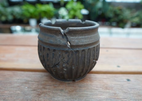 保田修作  pot No.24