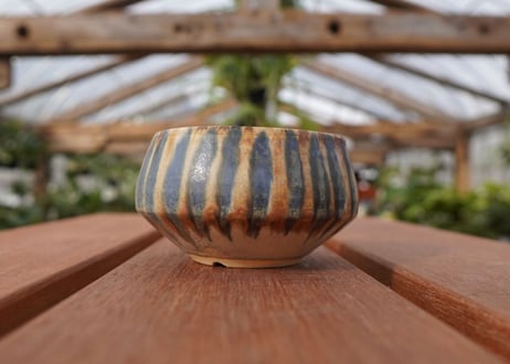 關まどか pot NO.23-2　Ｇ