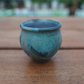 神田知広氏の鉢が再入荷しました。 | mana's farm:塊根植物・アガベ