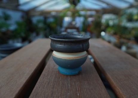 持木祐一 pot  No.15
