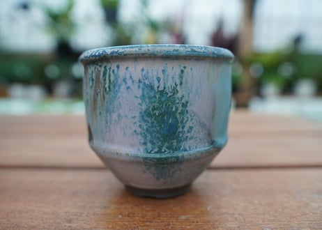 神田知広pot No.11