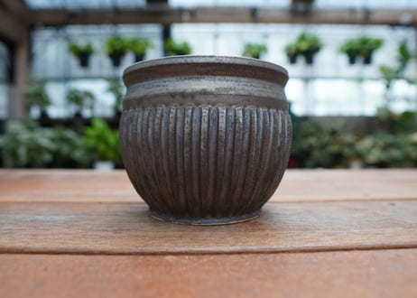 保田修作  pot No.15