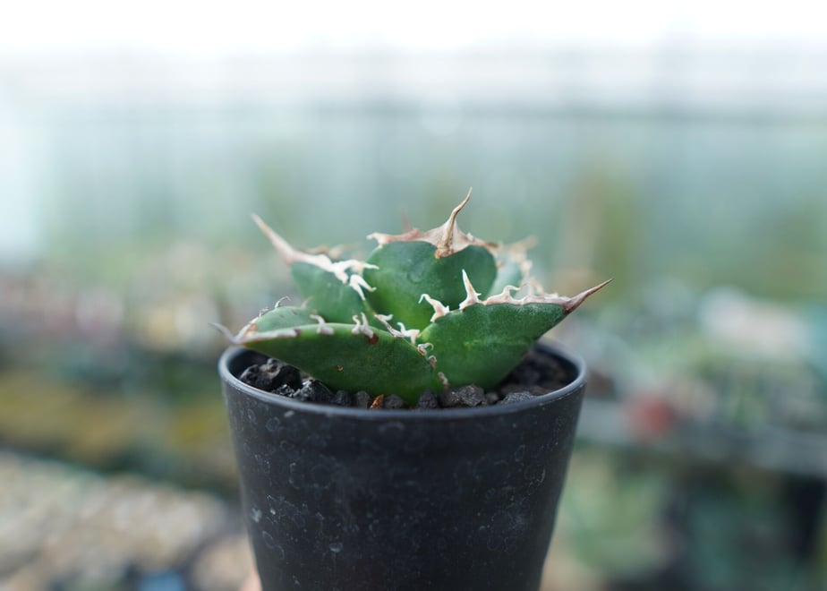 64707e97ea1c92002ebce940