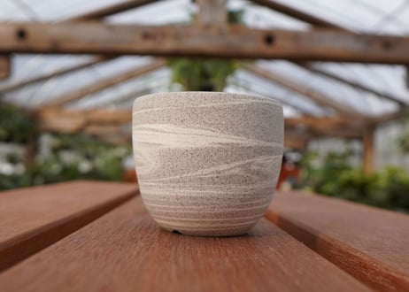 關まどか pot NO.22-3 F