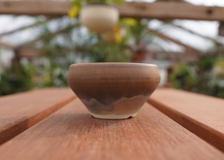 關まどか pot NO.4-2　Ｇ