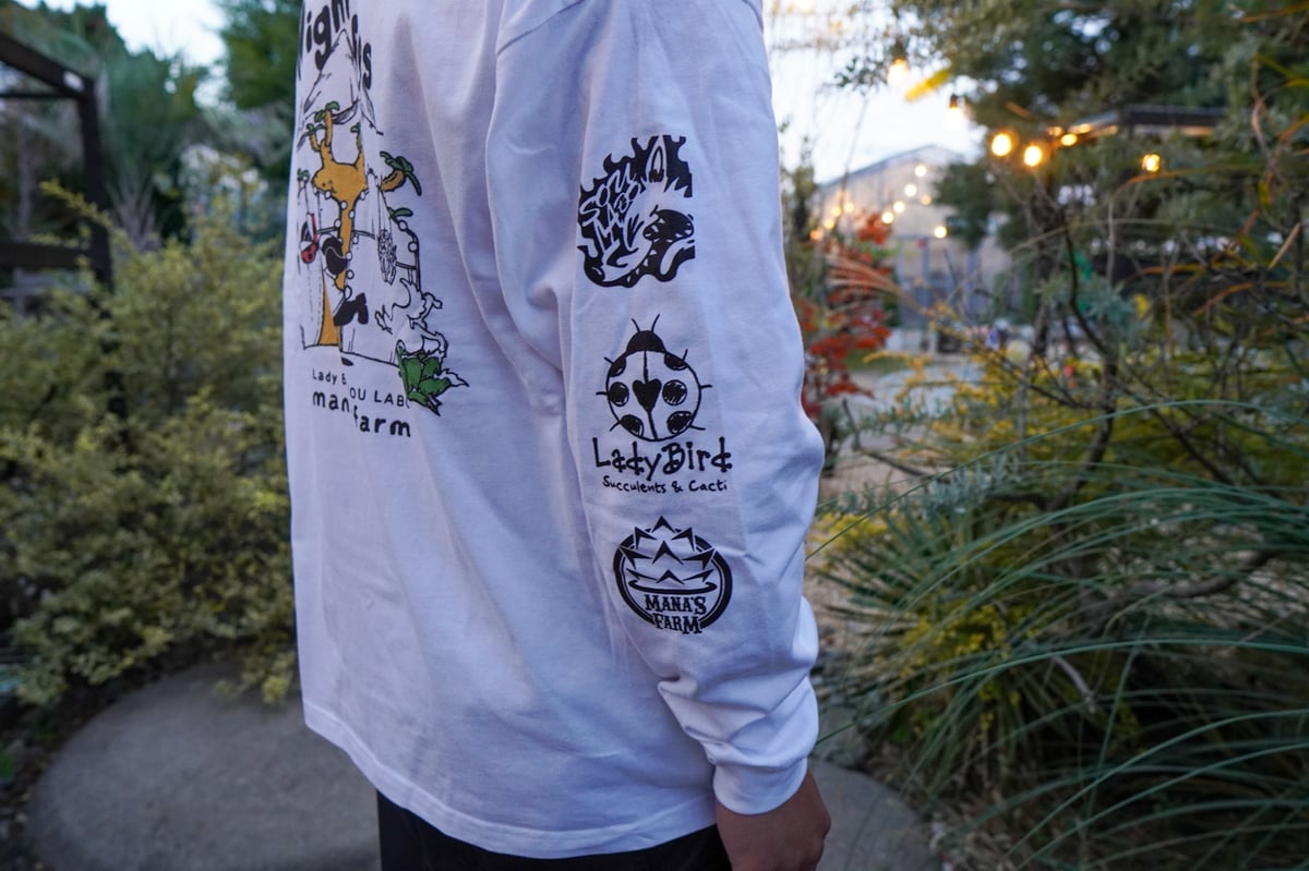 NIGHT FES! コラボTシャツ | mana's farm:塊根植物・アガベ・ドライガー