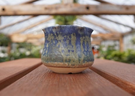 關まどか pot NO.12-2 F
