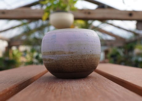 關まどか pot NO.9-1 F