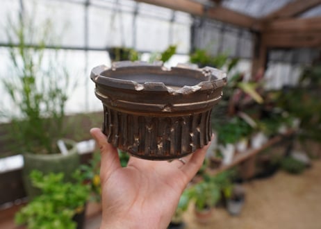 保田修作  pot No.23