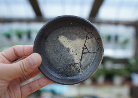 hechicami pot NO.6