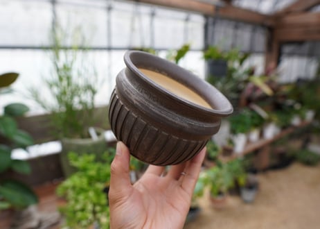 保田修作  pot No.13